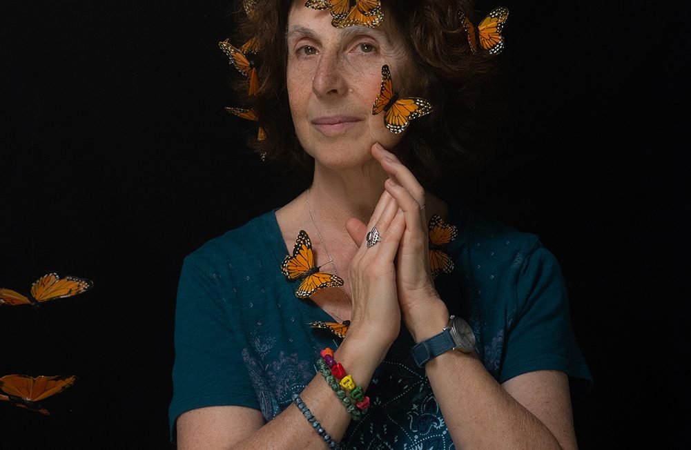 Butterflies and Immigrants Make America